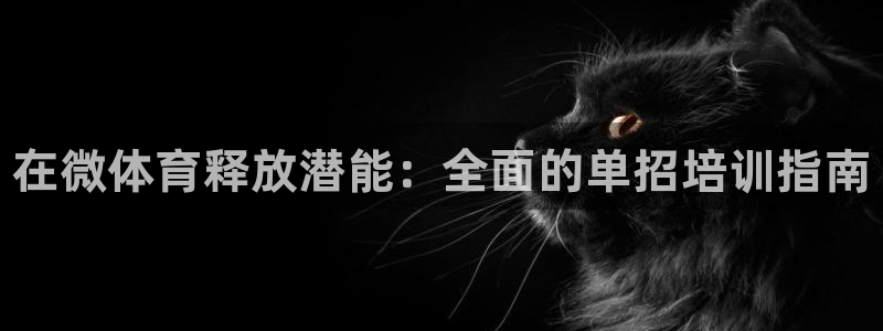 杭州富联科技：在微体育释放潜能：全面的单招培训指南