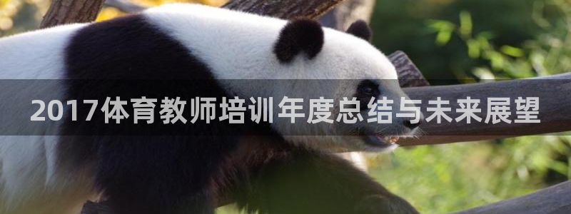 富联平台先 37oo735：2017体育教师培训年度总结与未