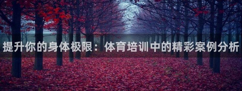 富联娱乐登陆：提升你的身体极限：体育培训中的精彩案例