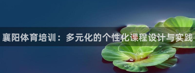 富联平台网站官网：襄阳体育培训：多元化的个性化课程设