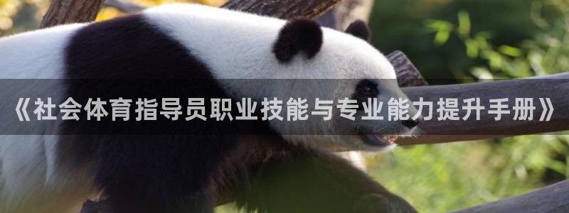 富联娱乐是什么时候开的股票